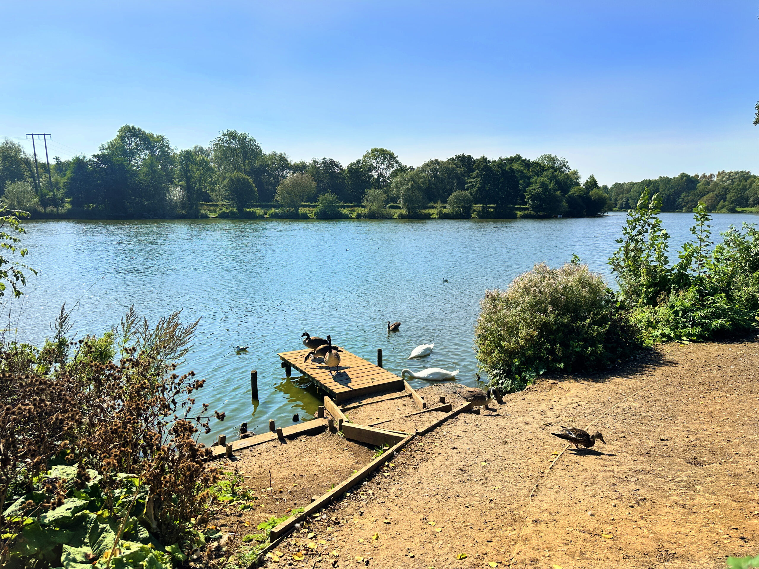 Landscape photo of Arrow Valley Park in Redditch looking out across the lake